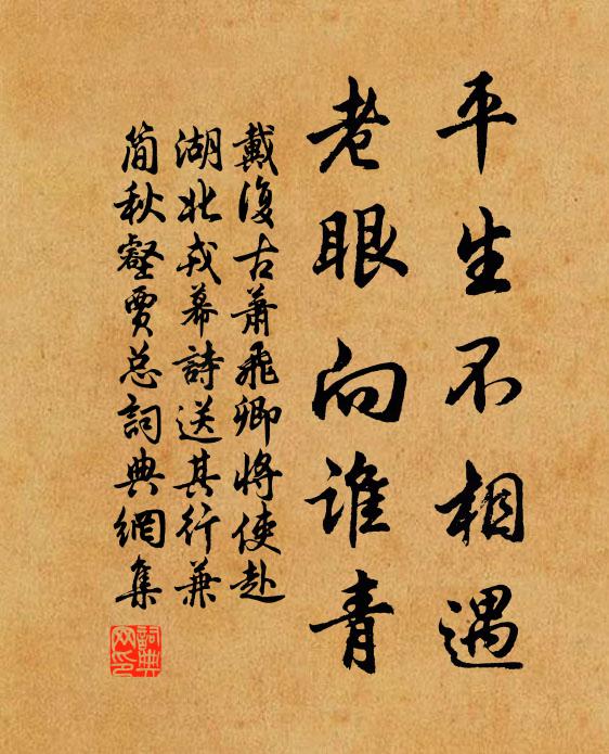 戴复古平生不相遇，老眼向谁青书法作品欣赏
