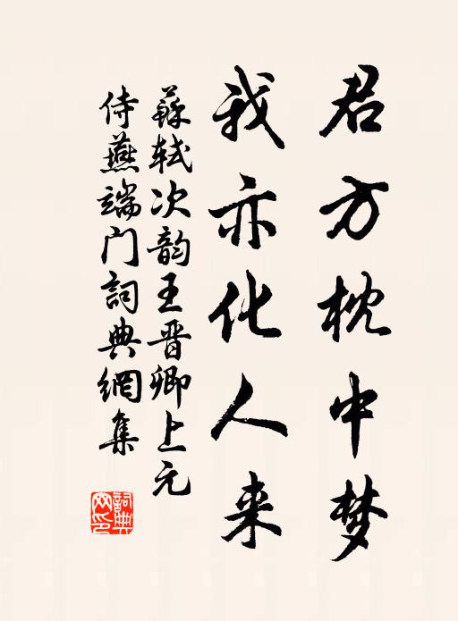 苏轼君方枕中梦，我亦化人来书法作品欣赏