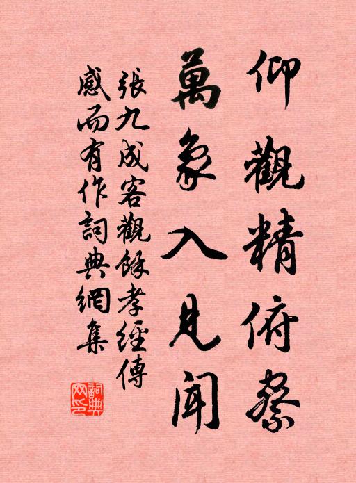 张九成仰观精俯察，万象入见闻书法作品欣赏