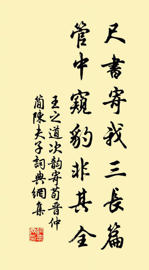 王之道尺书寄我三长篇，管中窥豹非其全书法作品欣赏