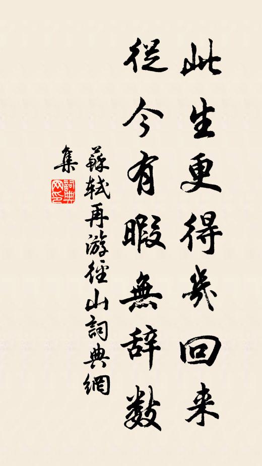 苏轼此生更得几回来，从今有暇无辞数书法作品欣赏
