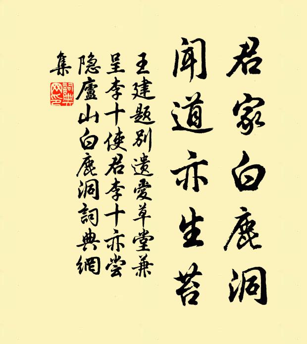 王建君家白鹿洞，闻道亦生苔书法作品欣赏
