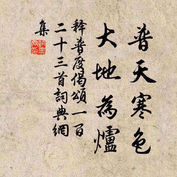释普度普天寒色，大地为炉书法作品欣赏
