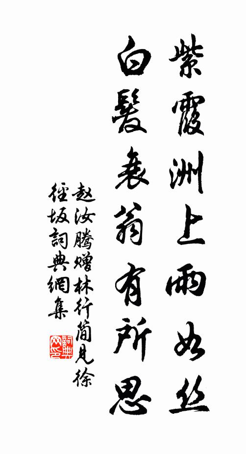 赵汝腾紫霞洲上雨如丝，白发衰翁有所思书法作品欣赏