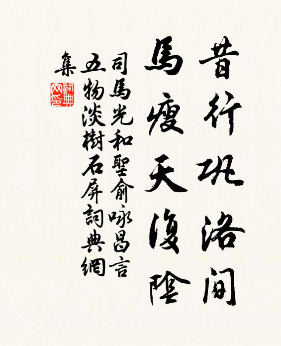 司马光昔行巩洛间，马瘦天复阴书法作品欣赏