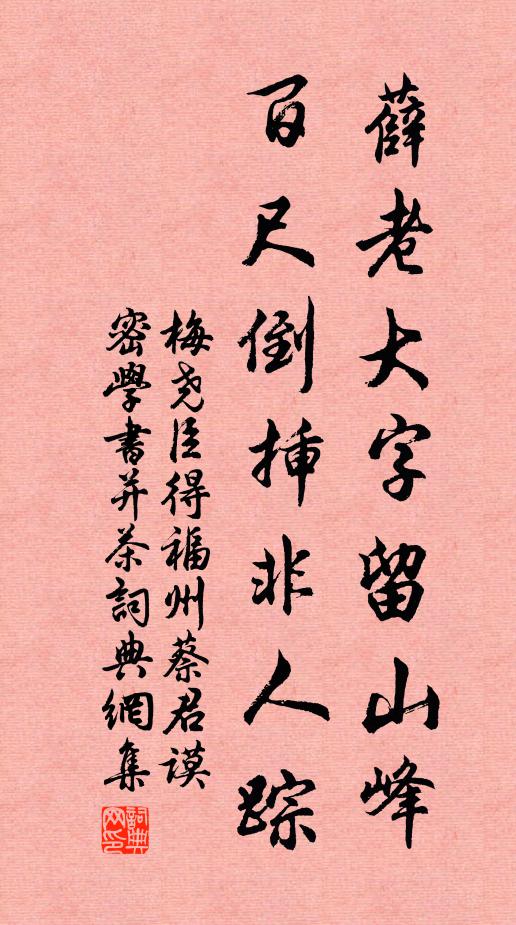 梅尧臣薛老大字留山峰，百尺倒插非人踪书法作品欣赏