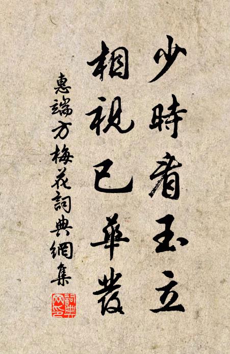 惠端方少时看玉立，相视已华发书法作品欣赏