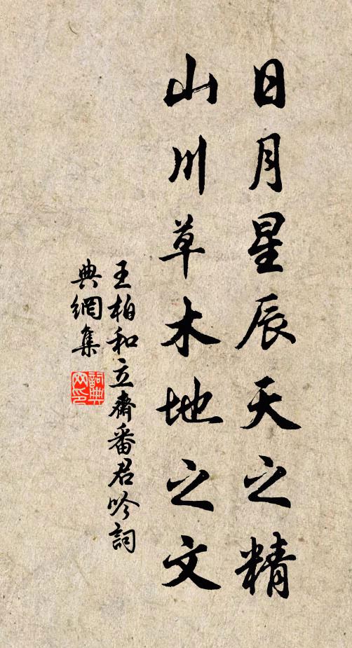 王柏日月星辰天之精，山川草木地之文书法作品欣赏
