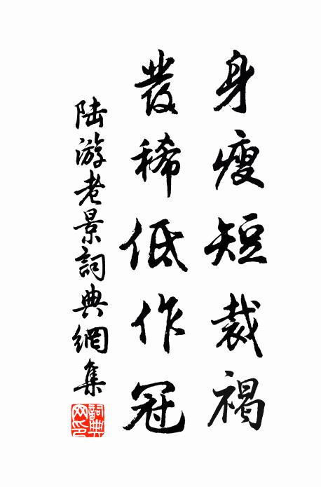陆游身瘦短裁褐，发稀低作冠书法作品欣赏