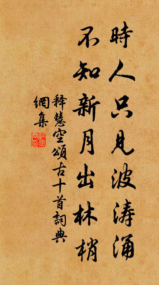 释慧空时人只见波涛涌，不知新月出林梢书法作品欣赏