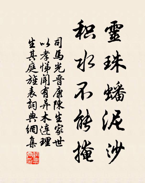 司马光灵珠蟠泥沙，积水不能掩书法作品欣赏