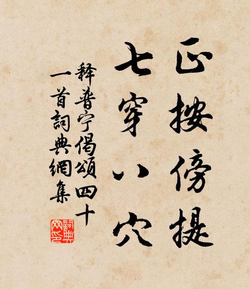 释普宁正按傍提，七穿八穴书法作品欣赏
