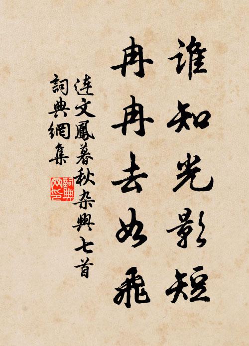 连文凤谁知光影短，冉冉去如飞书法作品欣赏
