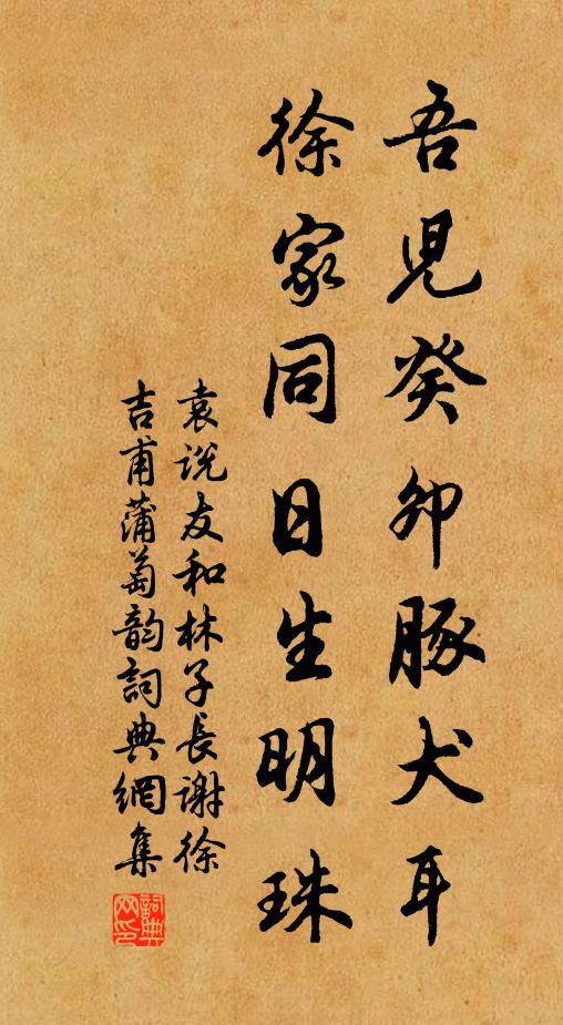 袁说友吾儿癸卯豚犬耳，徐家同日生明珠书法作品欣赏