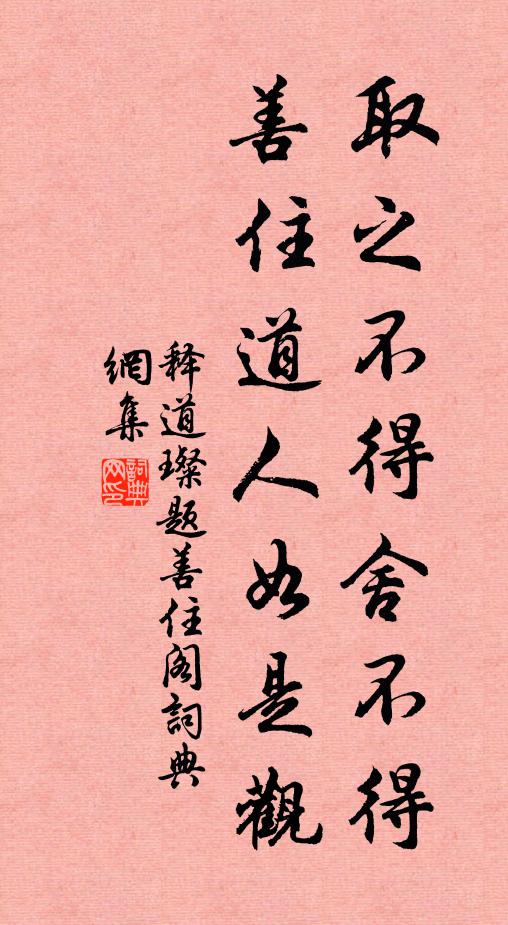 释道璨取之不得舍不得，善住道人如是观书法作品欣赏
