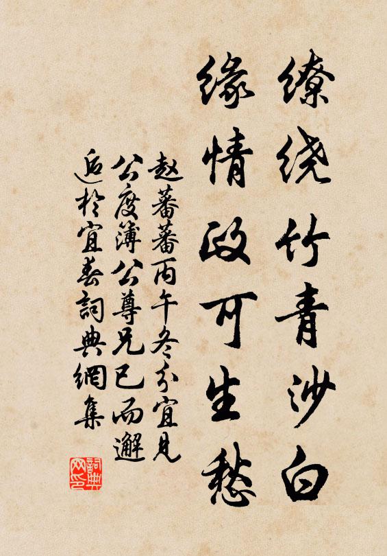 赵蕃缭绕竹青沙白，缘情政可生愁书法作品欣赏