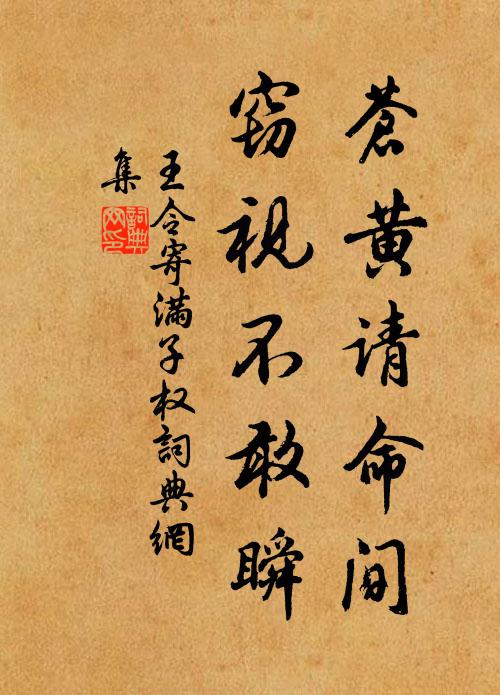 王令苍黄请命间，窃视不敢瞬书法作品欣赏