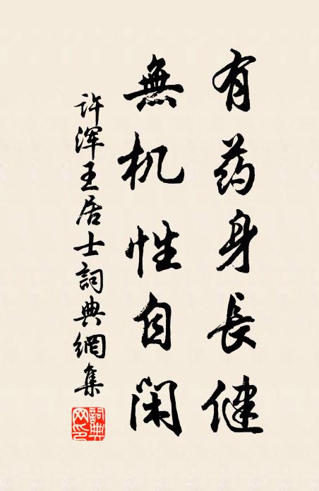 许浑有药身长健，无机性自闲书法作品欣赏