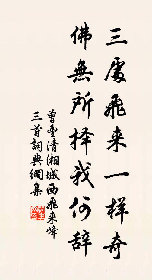 曾丰三处飞来一样奇，佛无所择我何辞书法作品欣赏