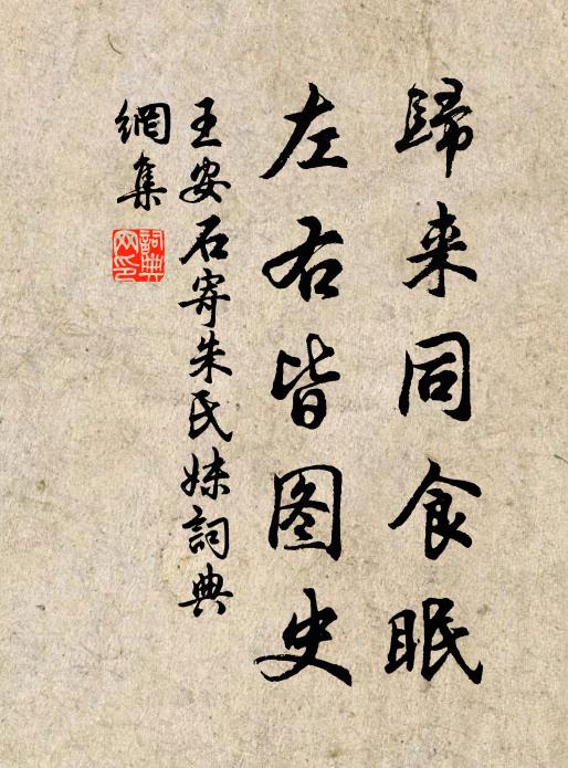 王安石归来同食眠，左右皆图史书法作品欣赏