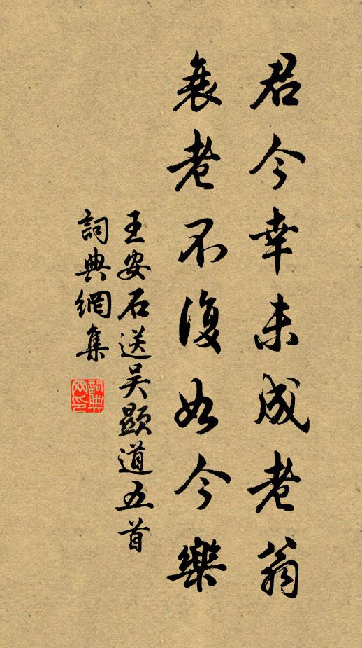 王安石君今幸未成老翁，衰老不复如今乐书法作品欣赏