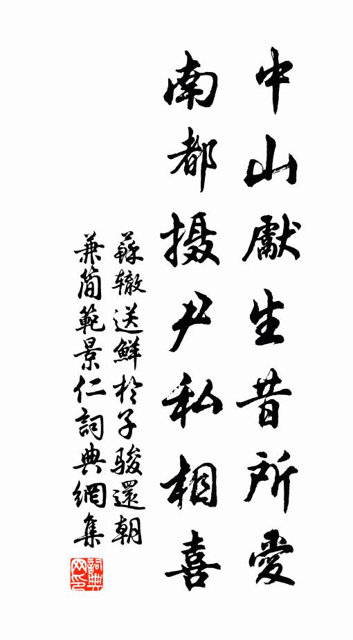 苏辙中山先生昔所爱，南都摄尹私相喜书法作品欣赏