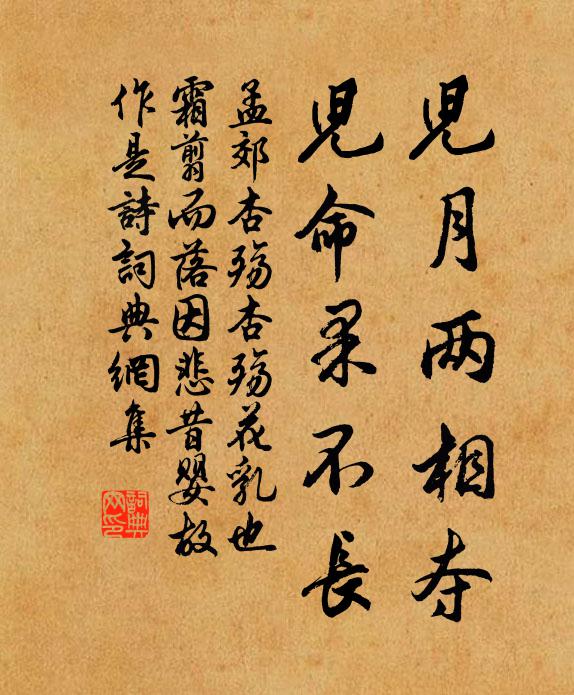 孟郊儿月两相夺,儿命果不长书法作品欣赏