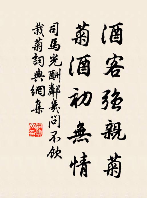 司马光酒客强亲菊，菊酒初无情书法作品欣赏