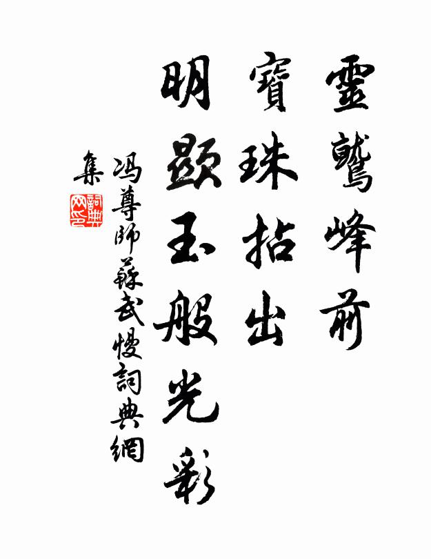 冯尊师灵鹫峰前，宝珠拈出，明显玉般光彩书法作品欣赏