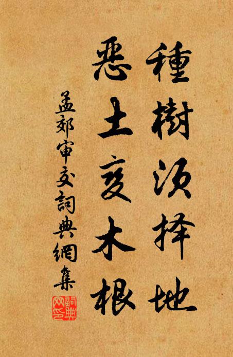 孟郊种树须择地，恶土变木根书法作品欣赏