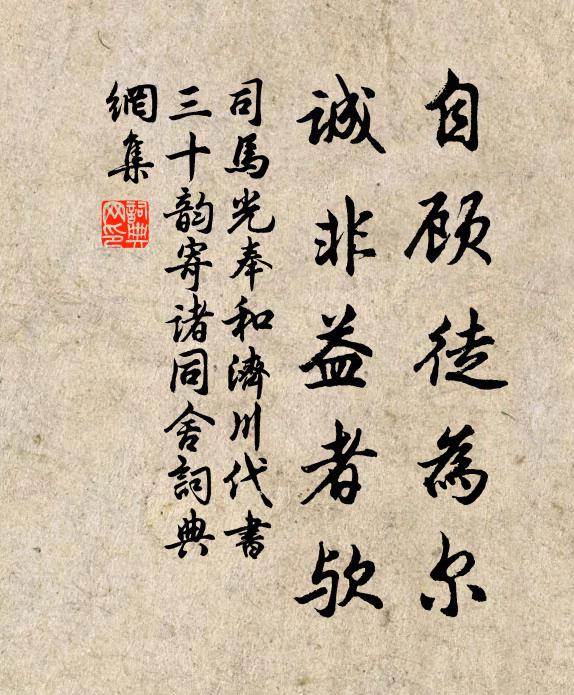 司马光自顾徒为尔，诚非益者欤书法作品欣赏