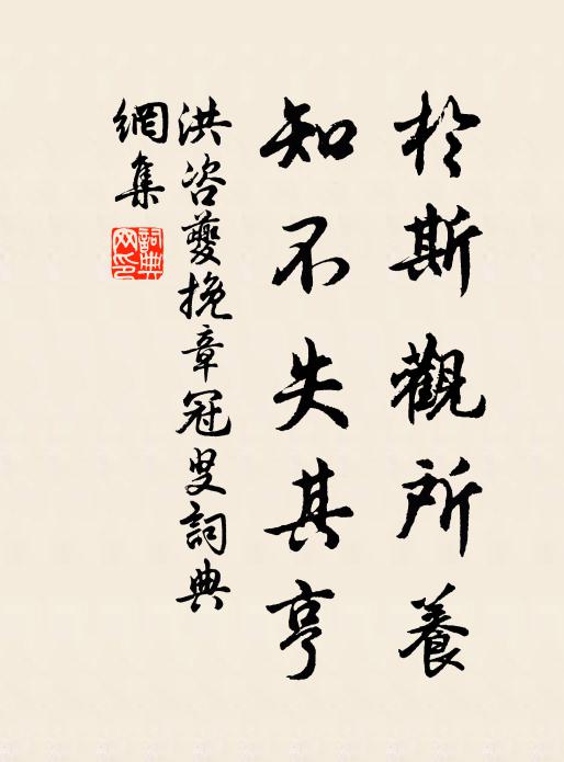 洪咨夔於斯观所养，知不失其亨书法作品欣赏