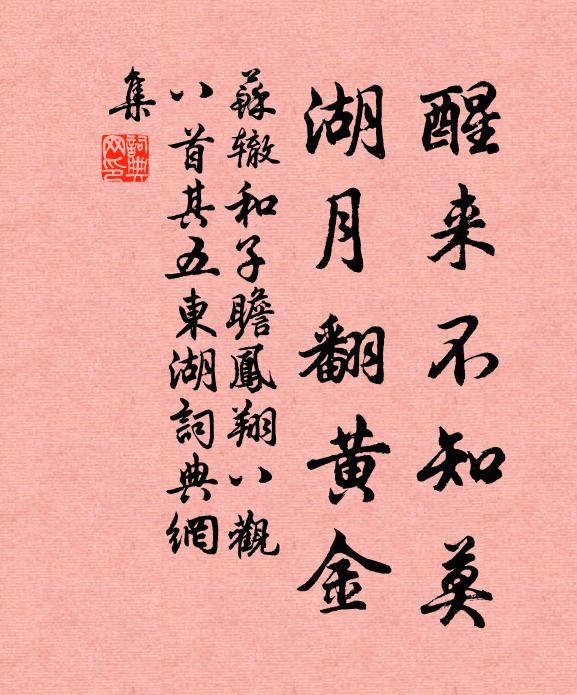 苏辙醒来不知莫，湖月翻黄金书法作品欣赏
