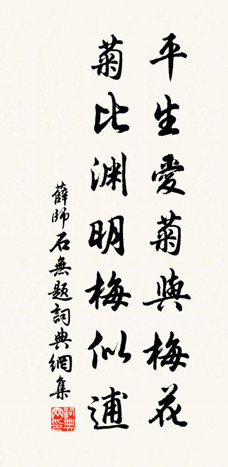 薛师石平生爱菊与梅花，菊比渊明梅似逋书法作品欣赏