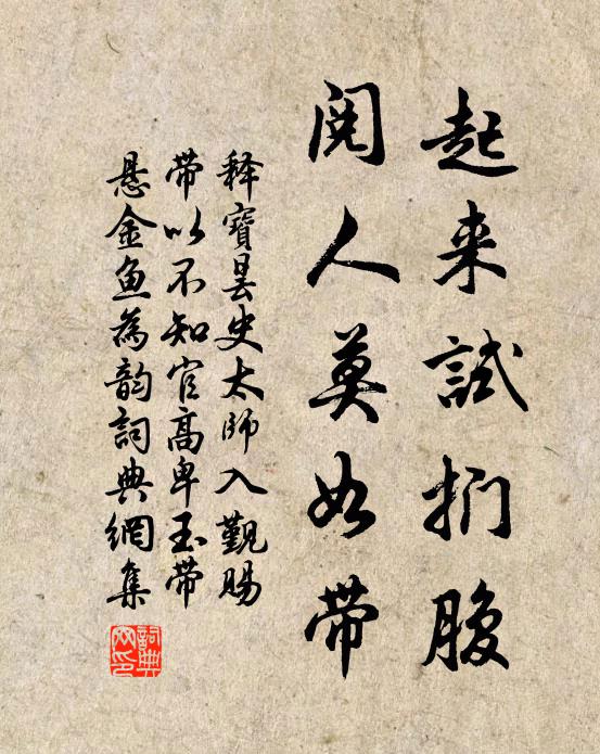 释宝昙起来试扪腹，阅人莫如带书法作品欣赏