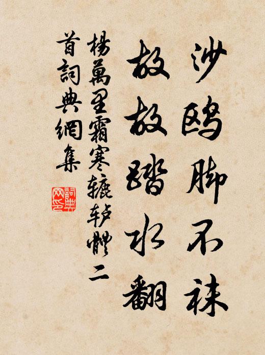 杨万里沙鸥脚不袜，故故踏水翻书法作品欣赏