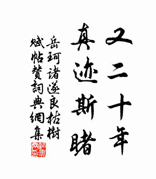 岳珂又二十年，真迹斯睹书法作品欣赏