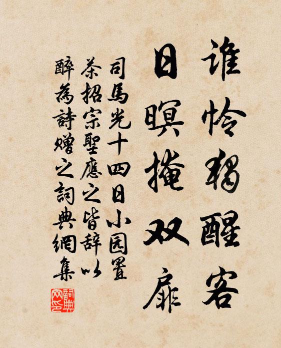 司马光谁怜独醒客，日暝掩双扉书法作品欣赏