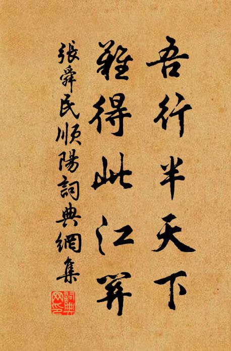 张舜民吾行半天下，难得此江关书法作品欣赏