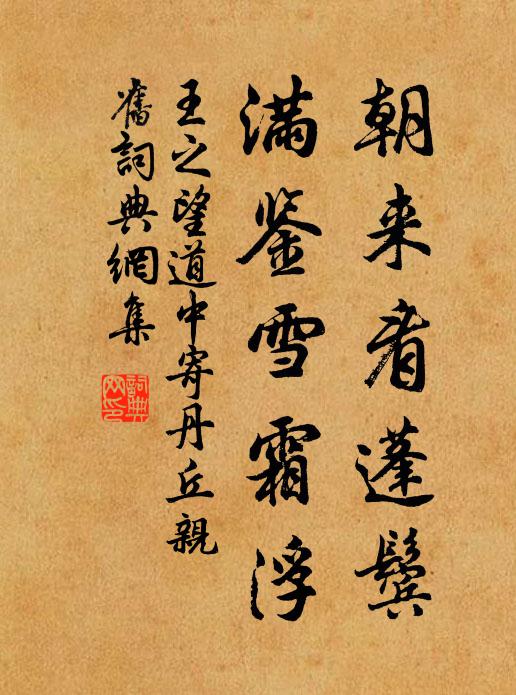 王之望朝来看蓬鬓，满鉴雪霜浮书法作品欣赏