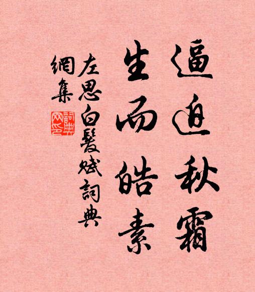 左思逼迫秋霜，生而皓素书法作品欣赏