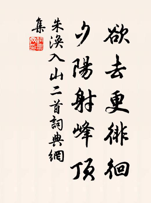 朱涣欲去更徘徊，夕阳射峰顶书法作品欣赏