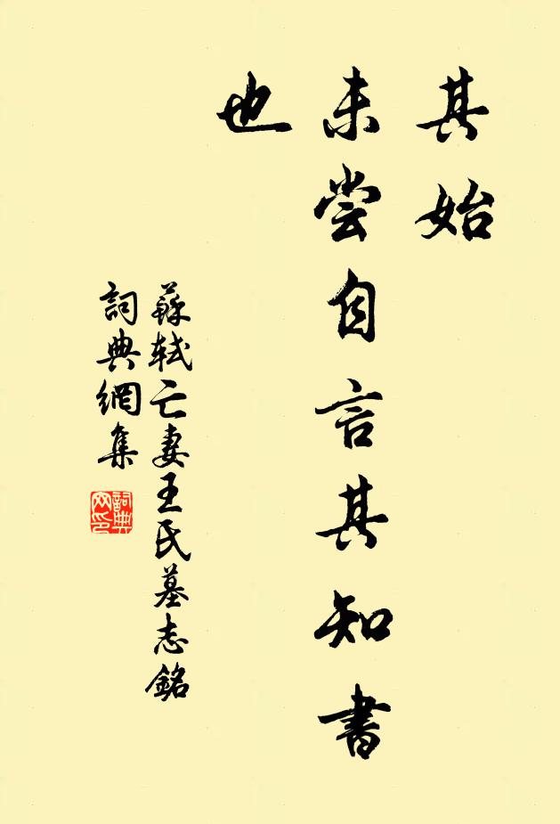 苏轼其始,未尝自言其知书也书法作品欣赏