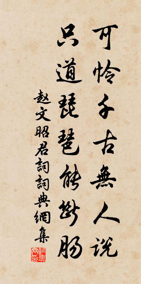 赵文可怜千古无人说，只道琵琶能断肠书法作品欣赏