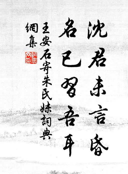 王安石沈君未言昏，名已习吾耳书法作品欣赏