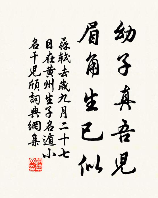 苏轼幼子真吾儿，眉角生已似书法作品欣赏
