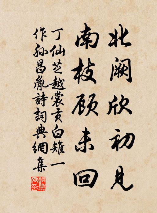 丁仙芝北阙欣初见，南枝顾未回书法作品欣赏