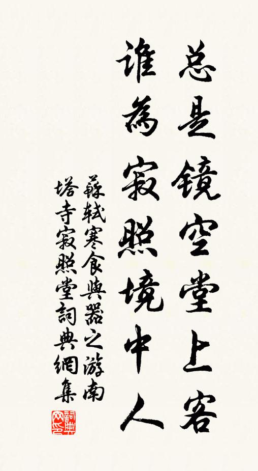 苏轼总是镜空堂上客，谁为寂照境中人书法作品欣赏