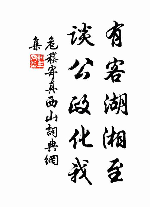 危稹有客湖湘至，谈公政化我书法作品欣赏