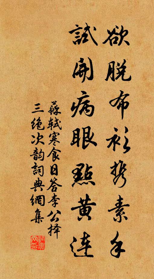 苏轼欲脱布衫携素手，试开病眼点黄连书法作品欣赏